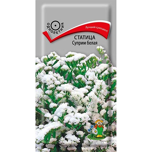 Статица Суприм белая, семена изображение 1 артикул 93117