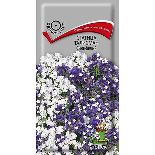 Статица Талисман Сине-белый, семена изображение 1 артикул 93126