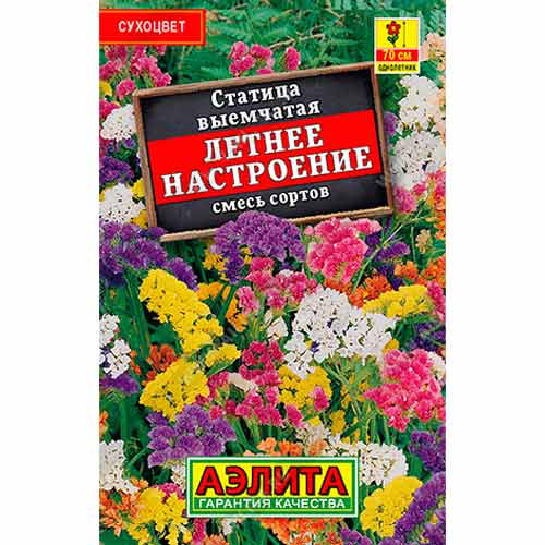 Статица выемчатая Летнее настроение, смесь окрасок Аэлита изображение 1 артикул 99155