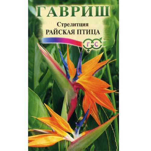 Стрелиция Райская птица Гавриш артикул фото 1 Стрелиция Райская птица Гавриш изображение 1 артикул 40596