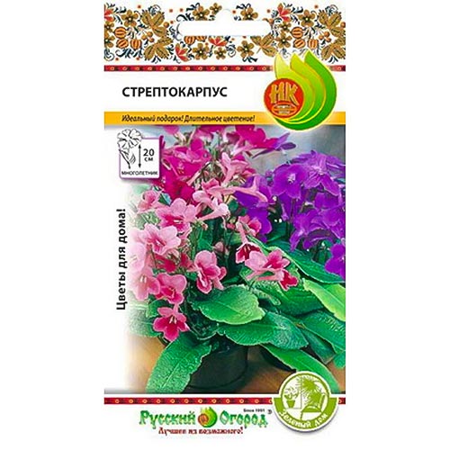 Стрептокарпус, смесь окрасок изображение 1 артикул 92633
