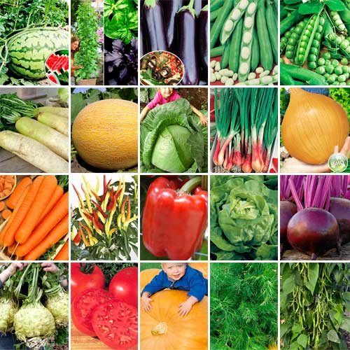 Суперпредложение! Комплект овощей-гигантов  из 20-ти упаковок изображение 1 артикул 7746