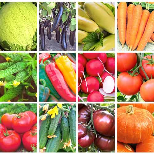 Суперпредложение! Набор семян Сибирский сад из 12 упаковок изображение 1 артикул 65423