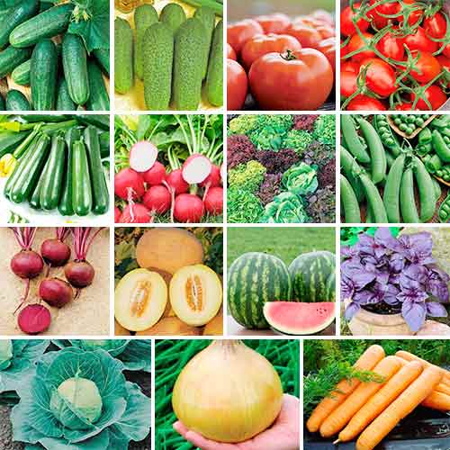 Суперпредложение! Набор семян Начинающему дачнику из 15 упаковок изображение 1 артикул 66873