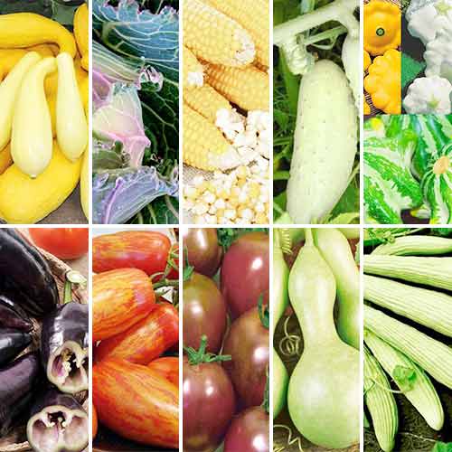 Суперпредложение! Набор семян Овощная экзотика из 10 упаковок изображение 1 артикул 66869