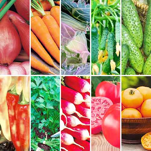 Суперпредложение! Набор семян Салатная грядка из 10 упаковок изображение 1 артикул 66868