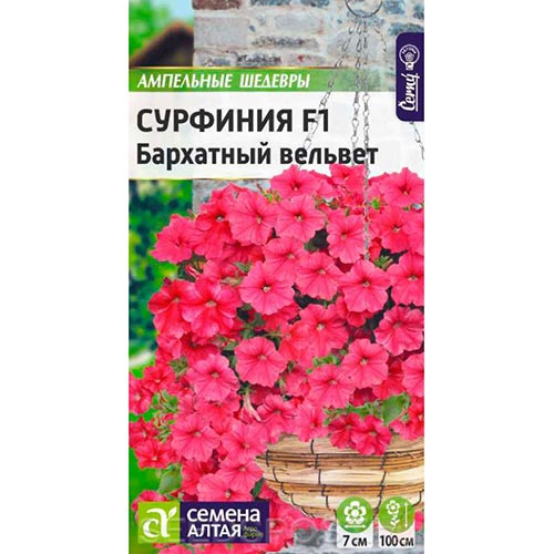 Сурфиния Бархатный Вельвет F1, семена изображение 1 артикул 94213