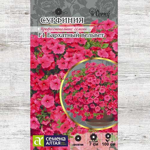 Сурфиния Бархатный Вельвет F1 изображение 1 артикул 81790