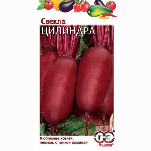 Свекла столовая Цилиндра Гавриш изображение 1 артикул 83145