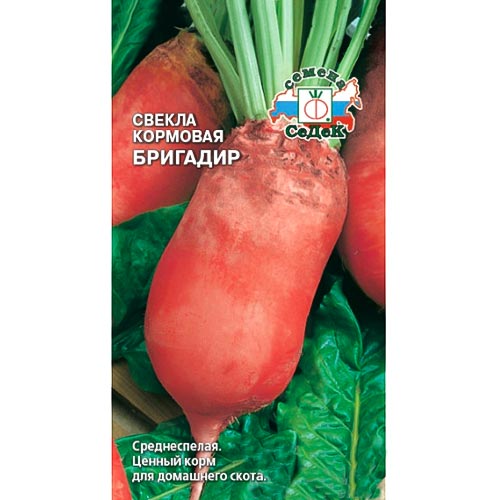 Свекла кормовая Бригадир, семена артикул фото 1 Свекла кормовая Бригадир, семена изображение 1 артикул 93553