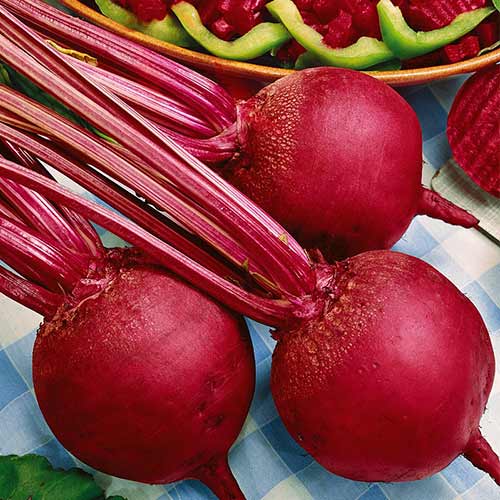 Свекла столовая Русский деликатес Уральский дачник изображение 1 артикул 74236