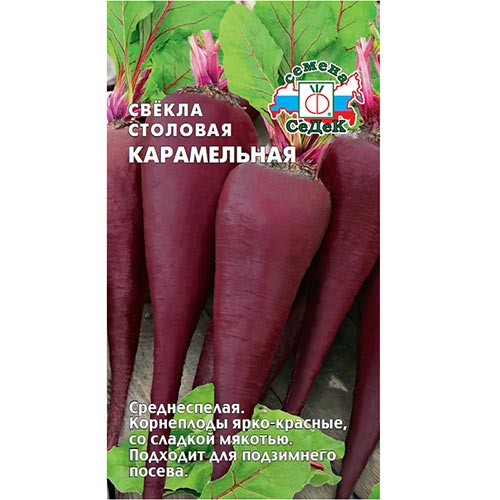 Свекла столовая Карамельная, семена артикул фото 1 Свекла столовая Карамельная, семена изображение 1 артикул 93556