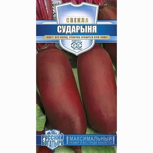 Свекла столовая Сударыня Гавриш изображение 1 артикул 65218