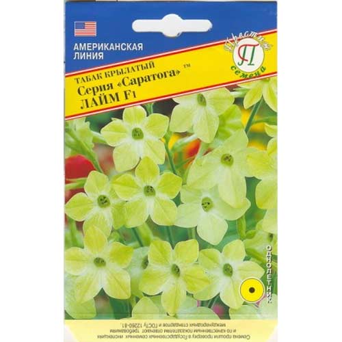 Табак душистый Саратога лайм F1 Престиж изображение 1 артикул 84552