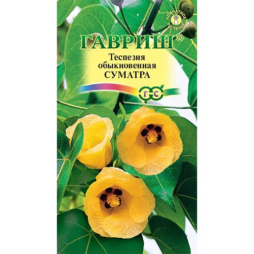 Теспезия Суматра, семена изображение 1 артикул 92228