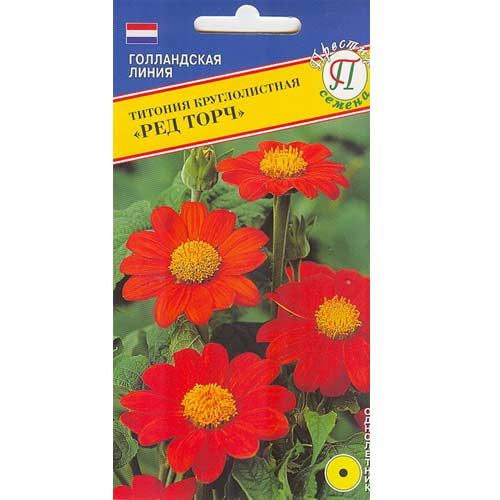 Титония Ред Торч Престиж артикул фото 1 Титония Ред Торч Престиж изображение 1 артикул 71589