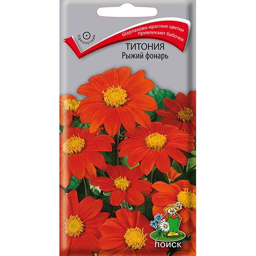 Титония Рыжий фонарь, семена артикул фото 1 Титония Рыжий фонарь, семена изображение 1 артикул 93128