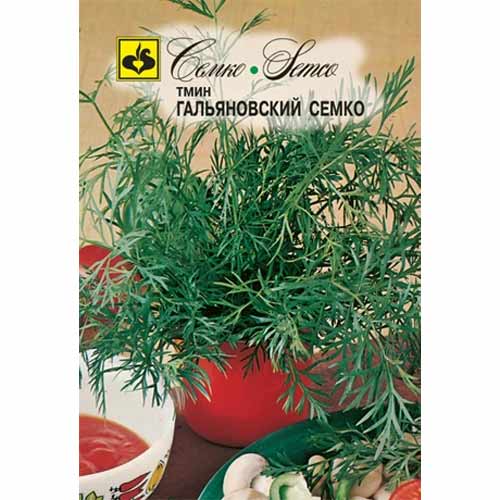 Тмин Гальяновский Семко изображение 1 артикул 40562