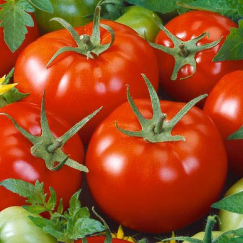 Томат Бабай F1 изображение 1 артикул 69819