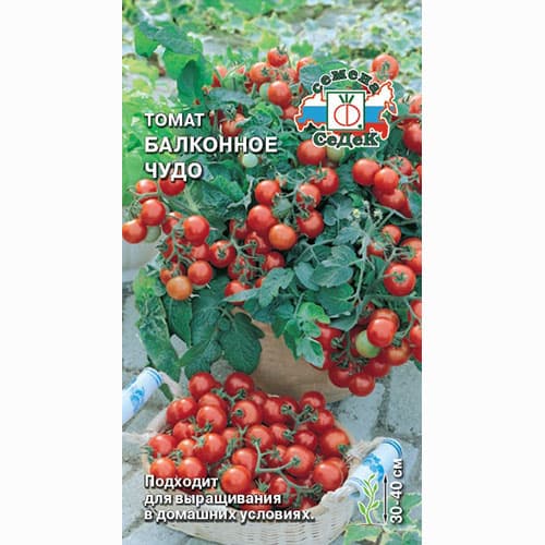 Томат Балконное чудо Седек изображение 1 артикул 65297