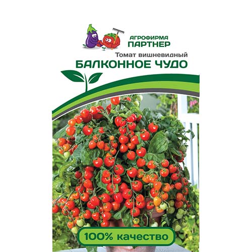 Томат Балконное чудо Партнер артикул фото 1 Томат Балконное чудо Партнер изображение 1 артикул 81048