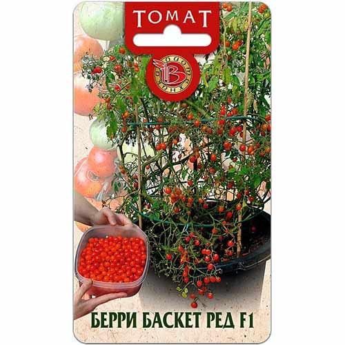 Томат Берри Баскет Ред F1 артикул фото 1 Томат Берри Баскет Ред F1 изображение 1 артикул 74031