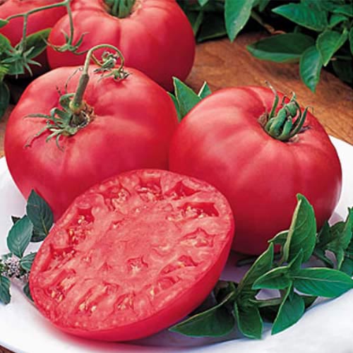 Томат Биф Пинк Бренди F1 Русский огород НК изображение 1 артикул 65360