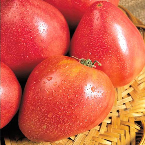 Томат Бычье сердце малиновое, семена изображение 1 артикул 5951