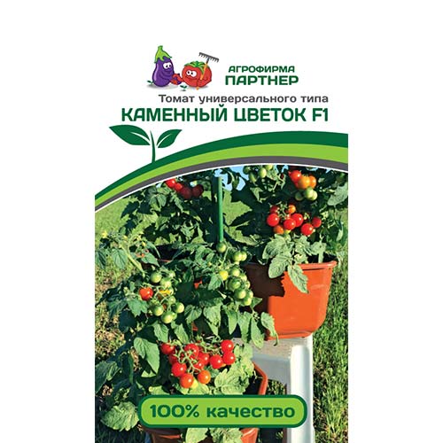 Томат черри Каменный цветок F1 Партнер артикул фото 1 Томат черри Каменный цветок F1 Партнер изображение 1 артикул 73483