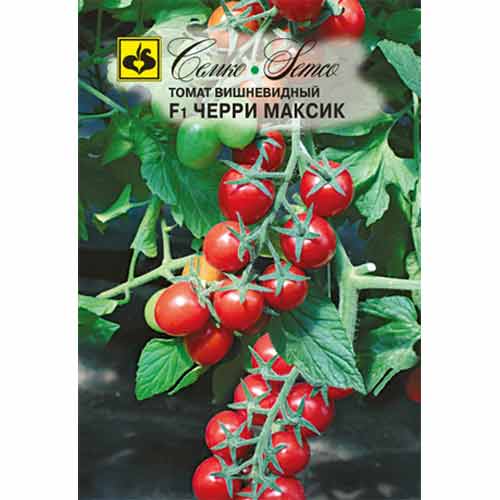 Томат черри Максик F1 Семко изображение 1 артикул 82563