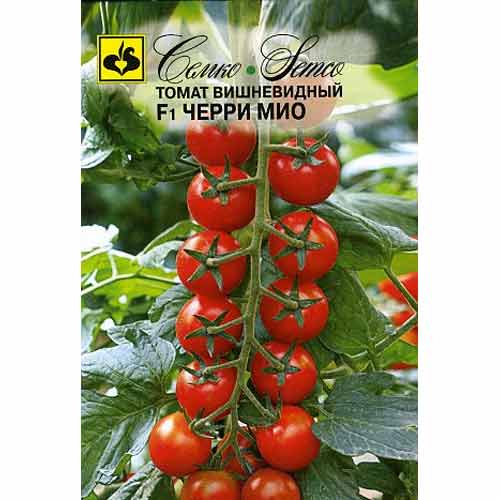 Томат черри Мио F1 Семко изображение 1 артикул 82567