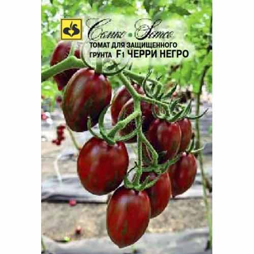 Томат черри Негро F1 Семко изображение 1 артикул 71957