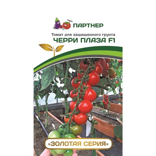 Томат черри Плаза F1 Партнер артикул фото 1 Томат черри Плаза F1 Партнер изображение 1 артикул 73522