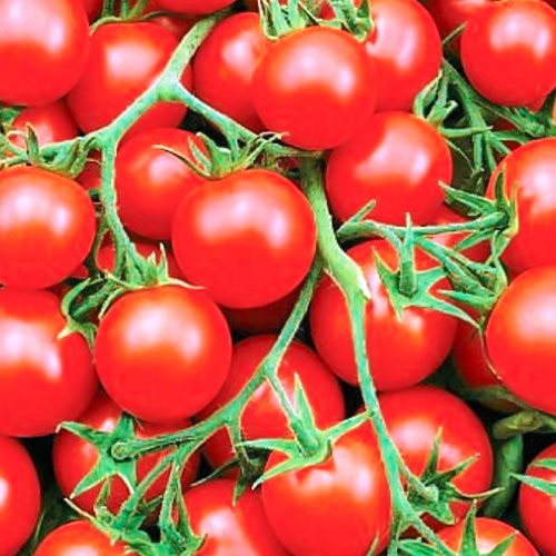 Томат черри Русский деликатес Уральский дачник изображение 1 артикул 78423