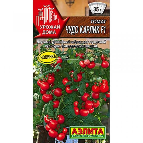 Томат Чудо карлик F1 Аэлита изображение 1 артикул 98756