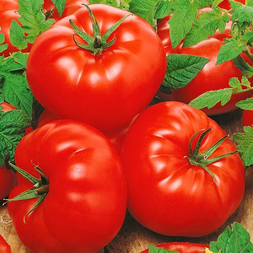 Томат Деревенский F1 изображение 1 артикул 71944