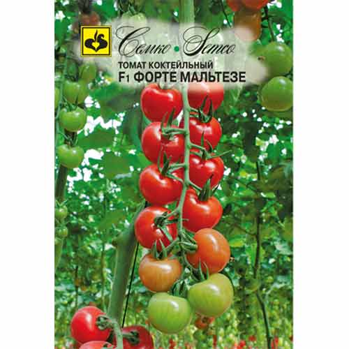 Томат Форте Мальтезе F1 Семко артикул фото 1 Томат Форте Мальтезе F1 Семко изображение 1 артикул 82571