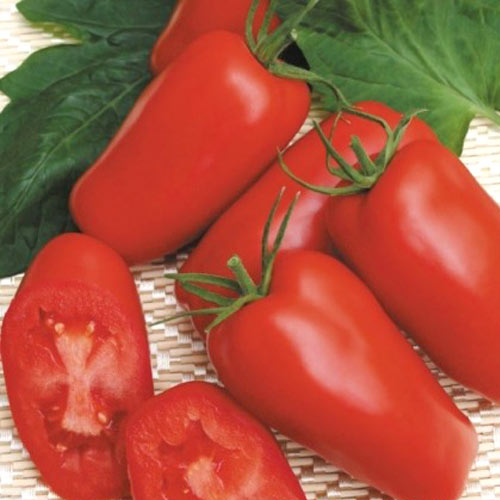 Томат Гаспачо изображение 1 артикул 69821