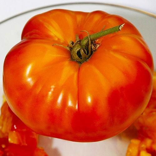 Томат Гордость Урала Уральский дачник изображение 1 артикул 83088