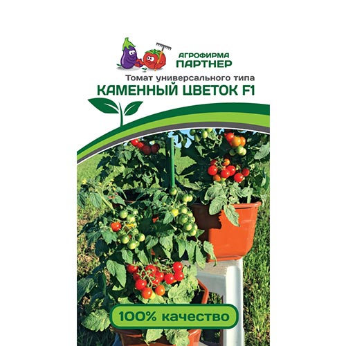 Томат Каменный цветок F1, семена изображение 1 артикул 92686