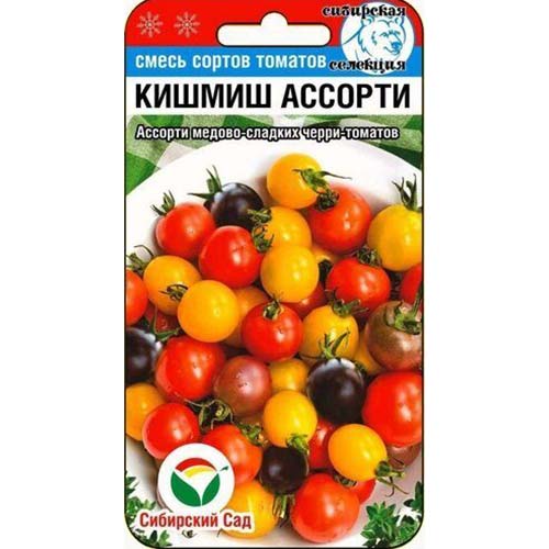 Томат Кишмиш ассорти, смесь сортов Сибирский сад артикул фото 1 Томат Кишмиш ассорти, смесь сортов Сибирский сад изображение 1 артикул 83971