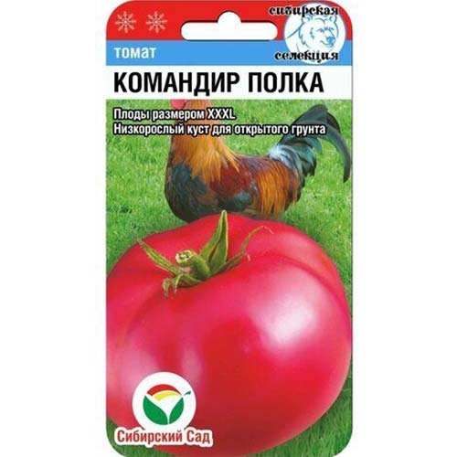 Томат Командир полка Сибирский сад изображение 1 артикул 82876