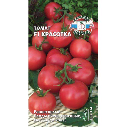 Томат Красотка F1, семена изображение 1 артикул 93576