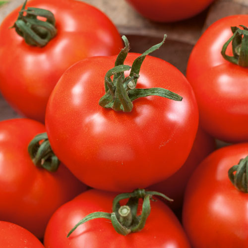 Томат Лакомство королей F1 Premium Seeds изображение 1 артикул 83840