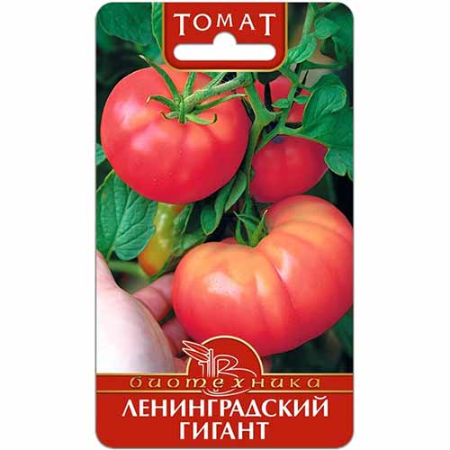 Томат Ленинградский гигант Биотехника изображение 1 артикул 74795