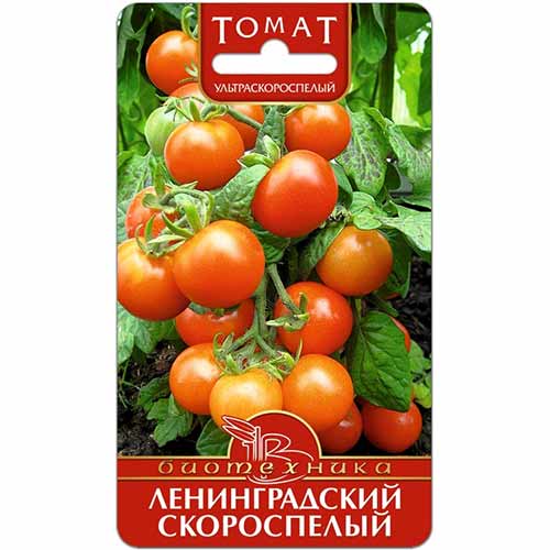 Томат Ленинградский скороспелый Биотехника артикул фото 1 Томат Ленинградский скороспелый Биотехника изображение 1 артикул 74796