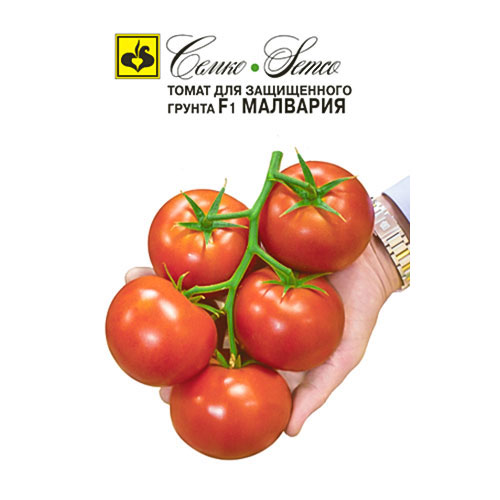 Томат Малвария F1 Семко артикул фото 1 Томат Малвария F1 Семко изображение 1 артикул 82593