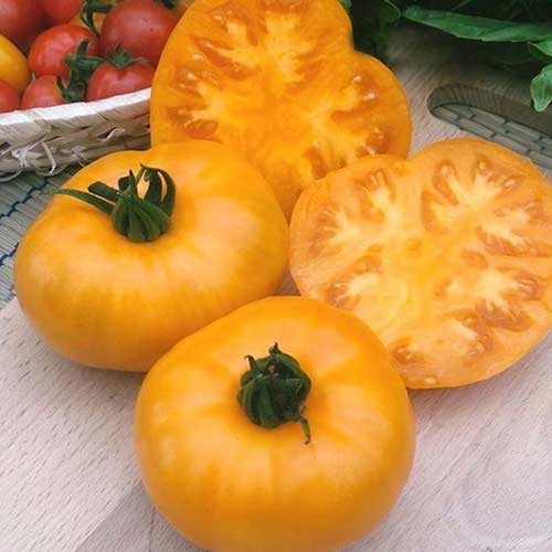 Томат Медовик Седек артикул фото 1 Томат Медовик Седек изображение 1 артикул 84061