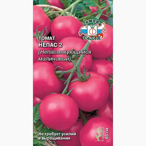 Томат Непас 2 Непасынкующийся малиновый Седек изображение 1 артикул 98115