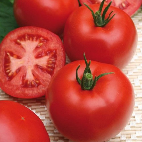 Томат Ролекс F1 изображение 1 артикул 69829